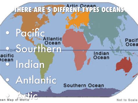 5 Different Types Of Oceans