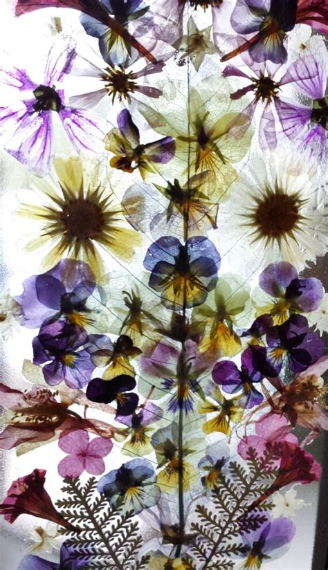 Pressed Flowers For Sale Canada - Reusable Real Pressed Dried Flowers ...