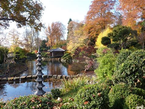 Maybe you would like to learn more about one of these? Bonsai - Gemeinschaft: Zur Kirschblüte in den japanischen ...