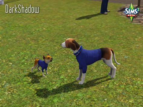 If on the other hand your sim card is too small for your phone then you can get a sim adapter. Mod The Sims - Clothes for Big and Small dogs