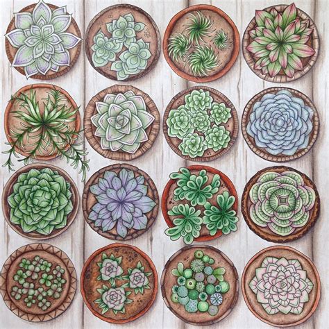 We did not find results for: Amanda on Instagram: "Succulents! 😍 First page done in ...