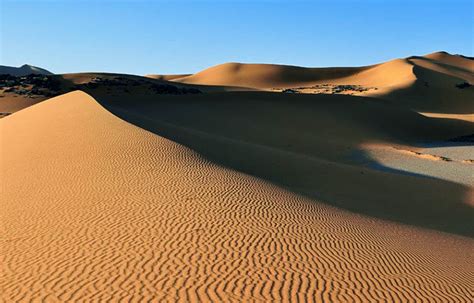 Características Del Desierto Del Sahara Sooluciona