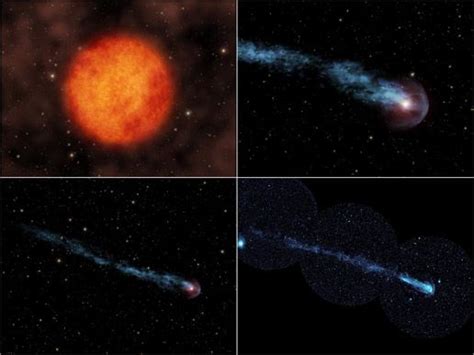 A Real Shooting Star Nasa Science Nature