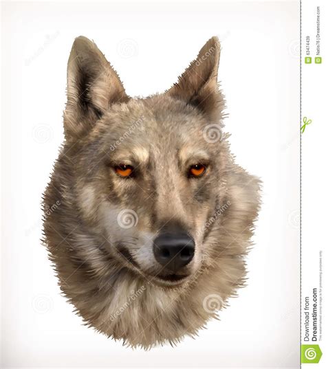 Wolf Head Illustration Stock Vector Illustration Of Icon 63474439