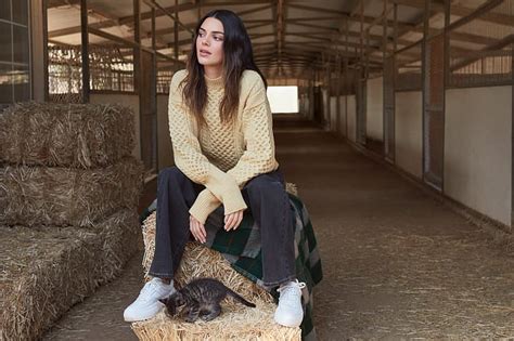 Kendall Jenner mujer modelo morena pelo largo gatos suéter Fondo