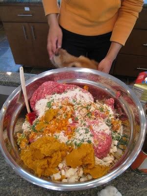 The base for his dog food is quinoa with flax and chia seeds. 8 Awesome Easy-To-Make Homemade Dog Food Recipes Your Dog ...