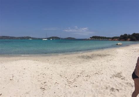 Plage De San Ciprianu Corse Photo De Plage De Saint Cyprien Lecci Tripadvisor