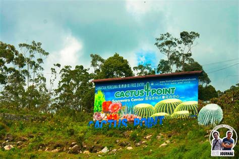 It is approximately 85 km from ipoh or about 200 km from kuala lumpur. Wandering at The Cactus Point, Cameron Highland