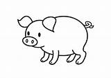 Pig Coloring Cute Coloringsky sketch template