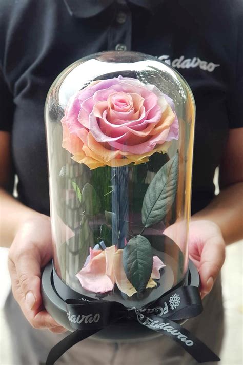 Preserved Rose Dome 16 Fg Davao Flowers Ts Delivery