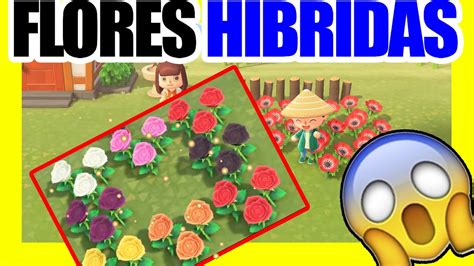 Como Conseguir Flores Hibridas En Animal Crossing New Horizons En
