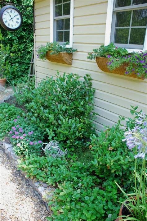 Tea garden bungalows come in an array of styles. How to Grow a Tea Garden | HGTV