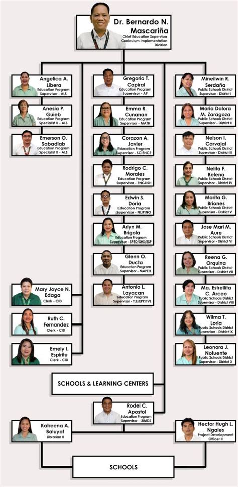 Organizational Structure Division Of Paranaque City