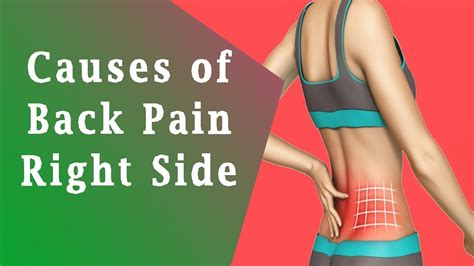 Pain In Right Side Of Back Causes Of Back Pain Right Side Youtube