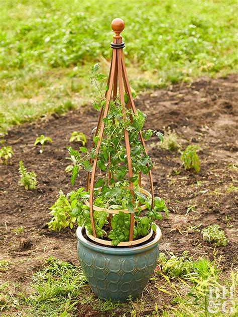 The ceramic pots planted with flowers serve as decorative staircase guards. How to Build a Container Trellis
