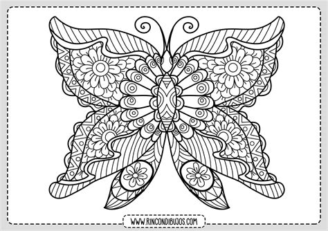 Dibujo Mariposa Bonita Para Colorear Rincon Dibujos
