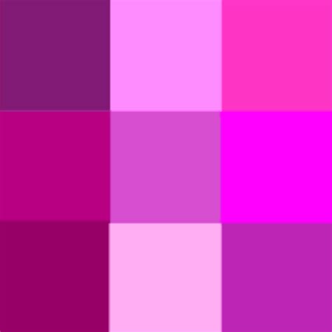 Magenta Vs Purple Whats The Difference Main Difference
