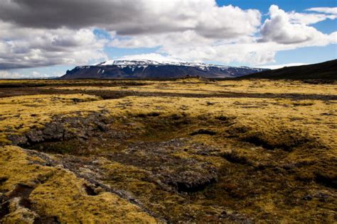 Top 10 Highest Mountains In Iceland Entertainment Before Its News