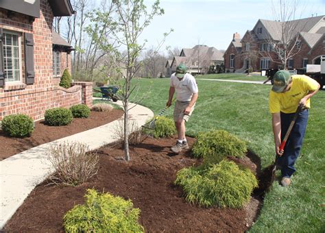 Landscaping And Gardening Archives Home Improvement Tips And Tricks