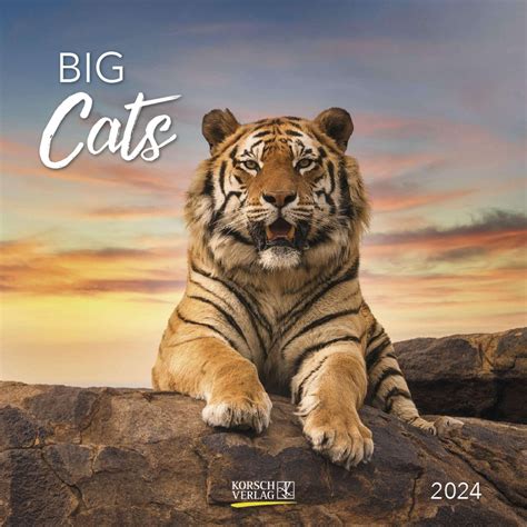 Big Cats 2024 Kalender Jpc 2024 Calendar Printable