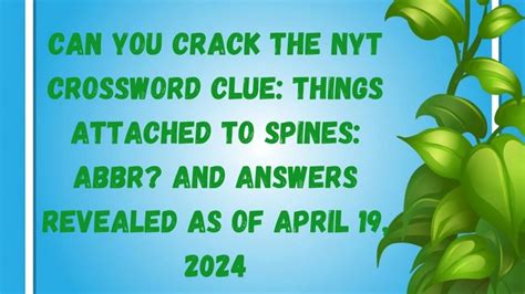 Can You Crack The Nyt Crossword Clue Things Attached To Spines Abbr