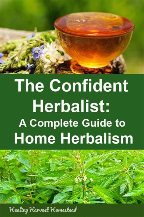A Beginners Herbalism Course All About Creating Your Own Home