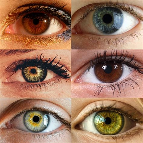 Eye Color Trivia Atlanta Ga Eyeclectic™ Vision Source