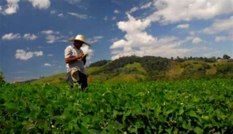 La Apuesta Del Sector Agrícola En Colombia Para Un Futuro Sostenible