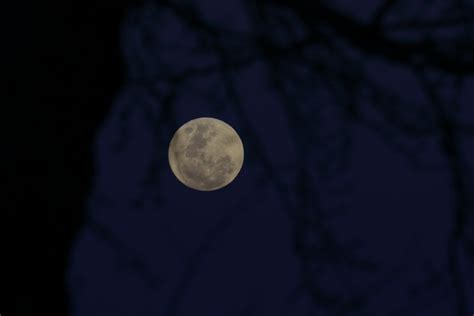 Wallpaper Full Moon Moon Branches Silhouettes Night Dark Hd