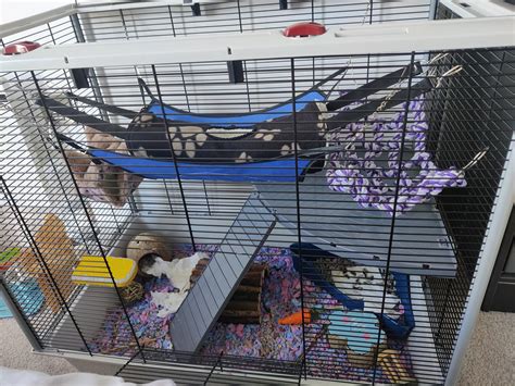 Pet Rats Cages