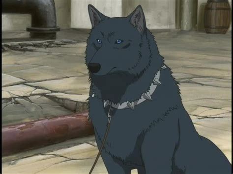 Blue - Wolf's Rain Image (15031772) - Fanpop