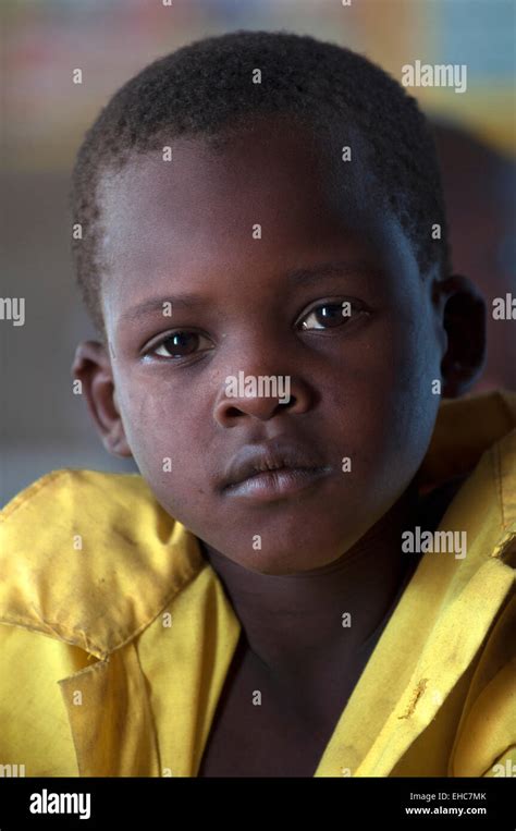Turkana Boy Hi Res Stock Photography And Images Alamy