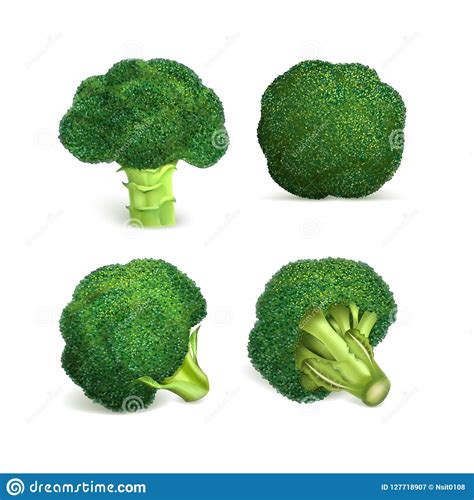 Broccoli Icon Set Realistic Style Stock Vector Illustration Of Color