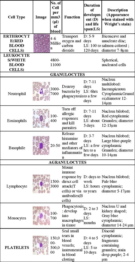 Review Of Leukocyte Classification Techniques For Microscopic Blood