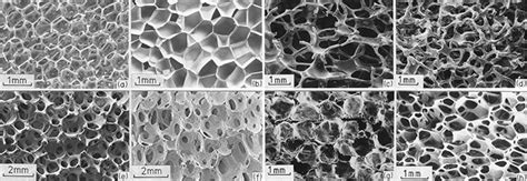 The Gibson Group Cellular Solids Structure Properties And Applications