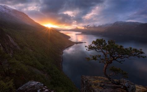 Nature Mist Landscape Sunset Trees Shrubs Mountains Snowy Peak