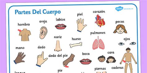 Partes Del Cuerpo Word Mat Spanish Teacher Made Twinkl