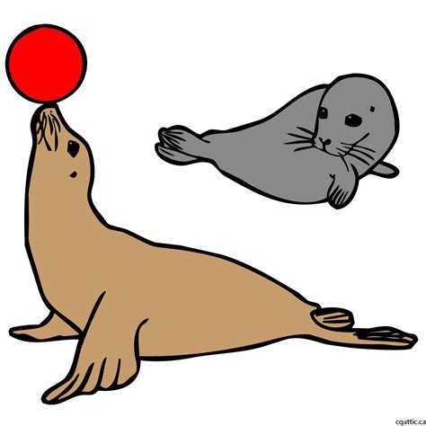 Seal Animal Drawing Free Download On Clipartmag
