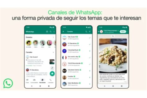 Whatsapp Estrena Canales El Mejor Espacio Para Seguir Temas De Interés Y Gratis Infobae