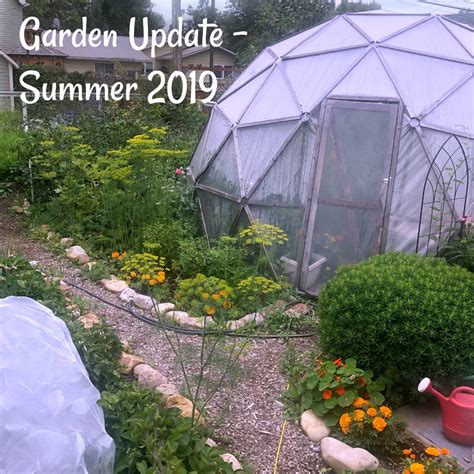 Garden Update Summer 2019 On Video Northern Homestead