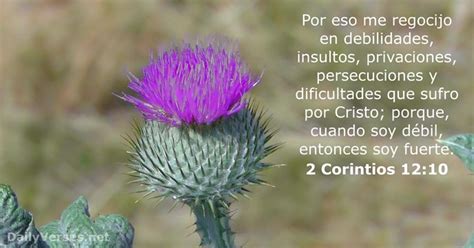 We did not find results for: 2 Corintios 12:10 - Versículo de la Biblia del día ...