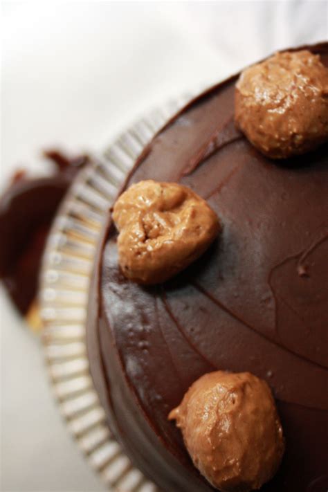 Secret Diary Of A Kitchen Girl Chocolate Hazelnut Mousse Cake Its