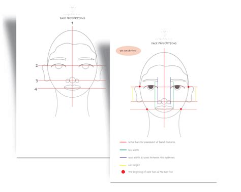 9 Steps To Mastering Female Face Proportions Easy Tutorial For Beginners Artful Haven