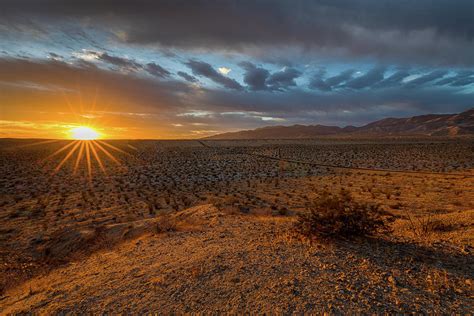 Sunrise On The Desert Photograph By Peter Tellone Fine Art America