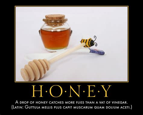 Catch Flies With Honey