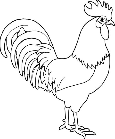 Any Rooster Coloring Page | Wecoloringpage.com