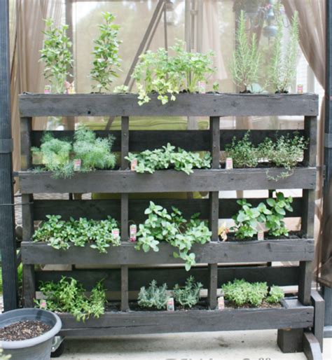 Vertical Herb Garden Ideas Plantinfo Everything And