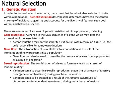 Evolution 3 Genetic Variation Online Presentation