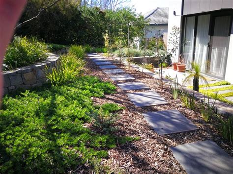 Will they grow through the mulch or do they need bare soil to spread properly? Stepping stones through mulch and ground cover | Ground ...