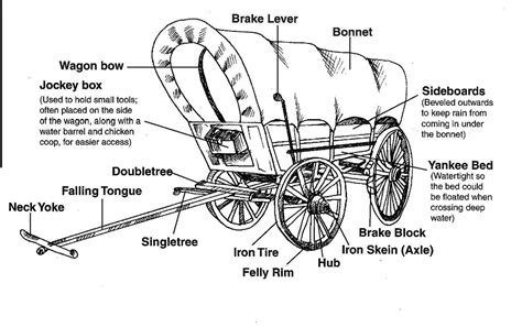 Conestoga Wagon Diagram